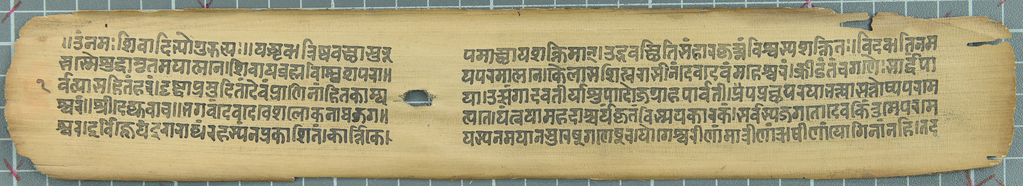 Amṛteśatantram